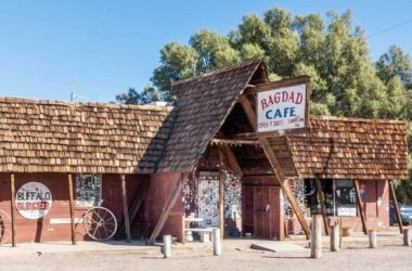 Darwin y Wallace: Una tienda de naturaleza y fósiles en Altamonte Springs
