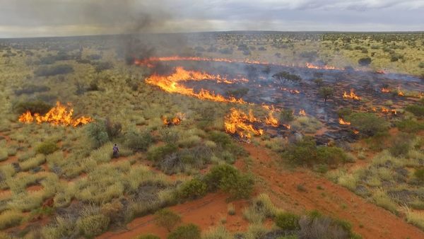 Incendios forestales australianos descubrieron secciones ocultas de un enorme