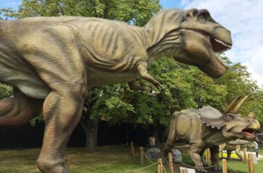Parque y museo de fósiles de dinosaurios en Jetholi