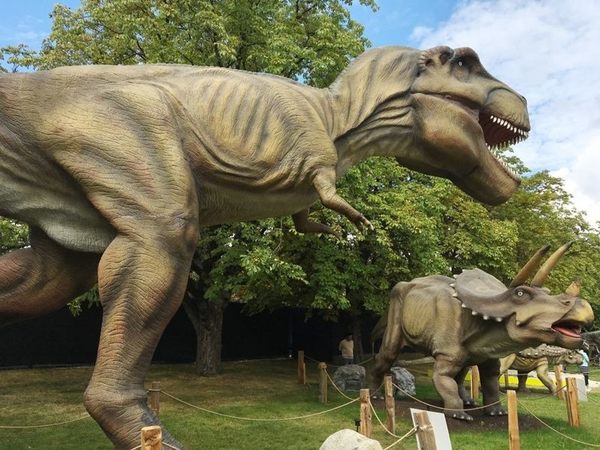 Parque y museo de fósiles de dinosaurios en Jetholi