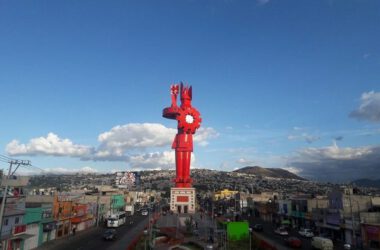 Experto de la UNAM afirma que el avispón asiático gigante no llegará a México