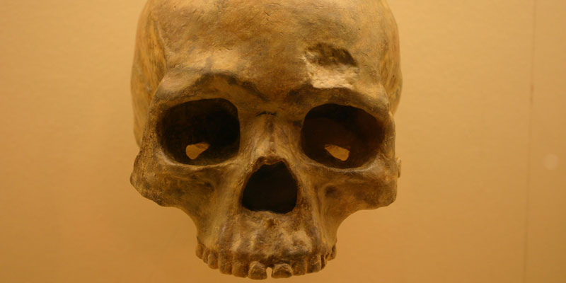 Los vestigios de Bacho Kiro “son los ejemplos en Europa más antiguos conocidos que demuestran la presencia del Homo sapiens en el Paleolítico superior”.