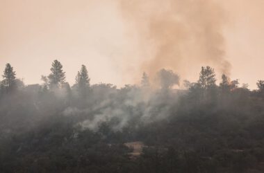 ¿Cómo averigua acerca de los incendios forestales que podrían amenazar los sitios patrimoniales?