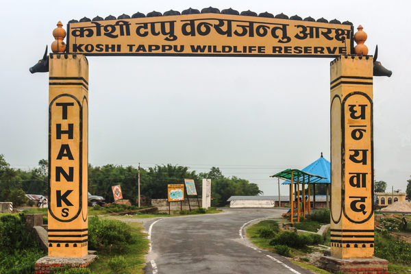 Reserva de vida silvestre de Koshi Tappu en Bairawa