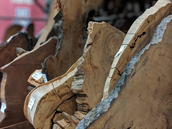Un pozo de más de 7 mil años es la estructura de madera más antigua conocida