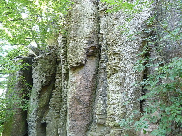 El órgano de basalto en Kisapáti